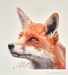Vixen's Gaze by Sarah Stokes - Original Painting on Paper sized 17x18 inches. Available from Whitewall Galleries